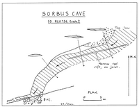 CDG NL168 Sorbus CAve - Penyghent Gill